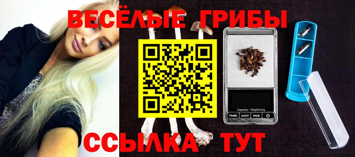 Псилоцибиновые грибы Psilocybine cubensis Минеральные Воды