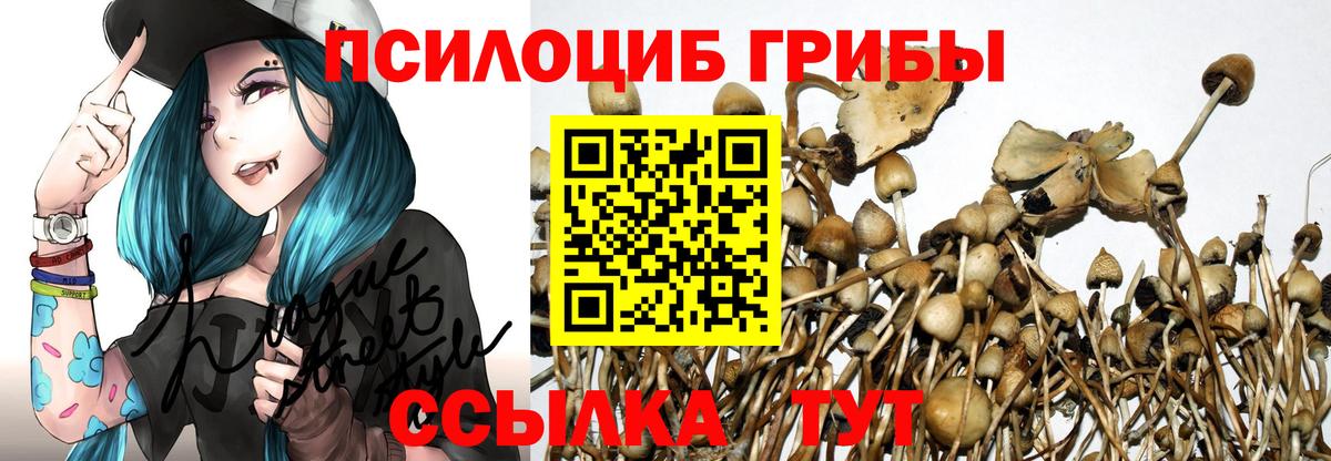 Минеральные Воды  Галлюциногенные грибы Psilocybine cubensis  Вход с VPN  купить  сайты  Галлюциногенные грибы MAGIC MUSHROOMS 